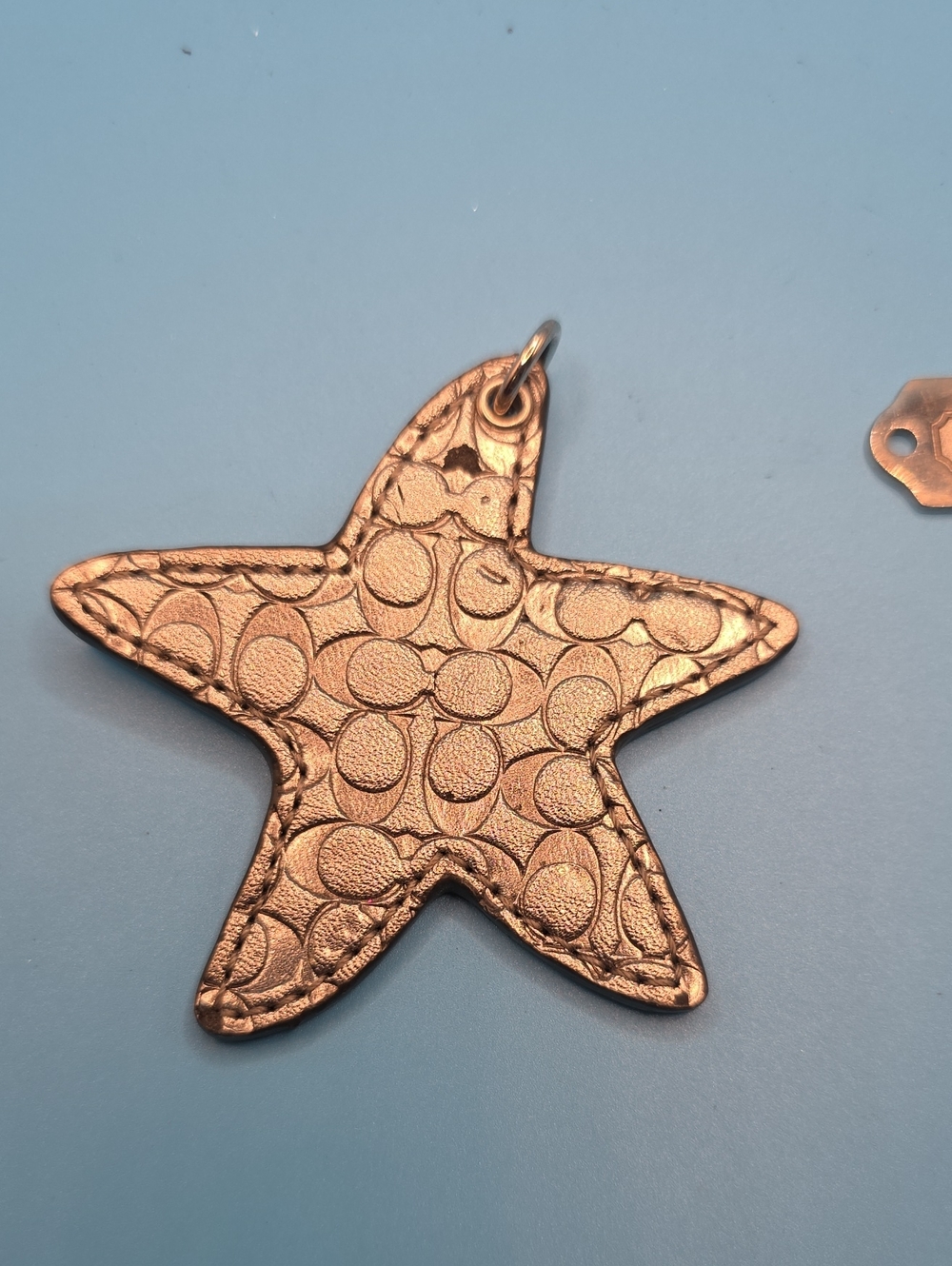 Coach Metallic Bronze Star Charm